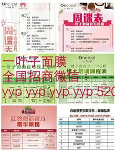 一叶子面膜代理全攻略 手把手教你轻松开启致富之路